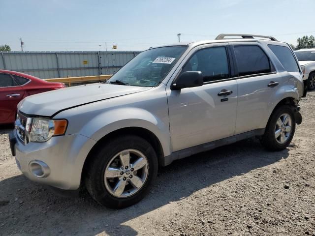 2009 Ford Escape XLT