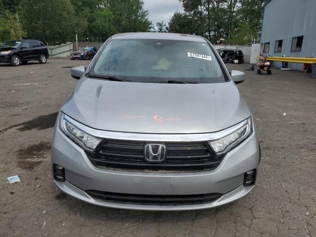 2023 Honda Odyssey EXL