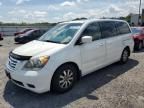 2009 Honda Odyssey EXL