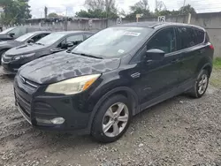 Salvage cars for sale at Opa Locka, FL auction: 2014 Ford Escape SE