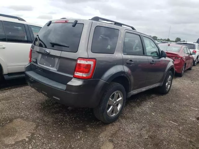 2009 Ford Escape XLT