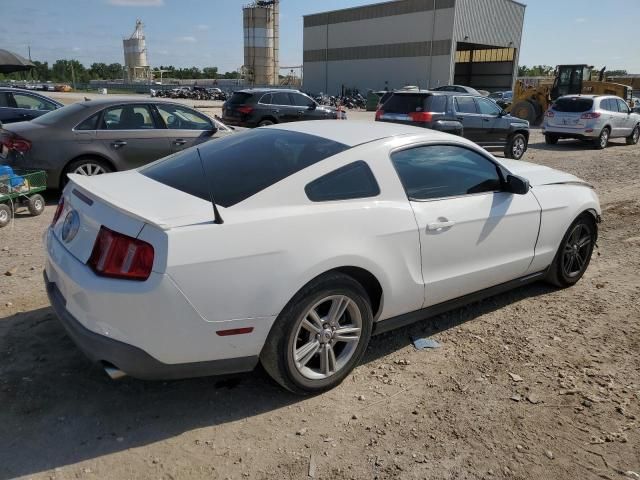 2010 Ford Mustang