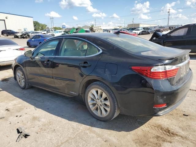 2013 Lexus ES 300H