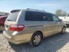 2005 Honda Odyssey EXL