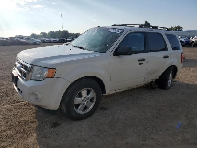 2011 Ford Escape XLT