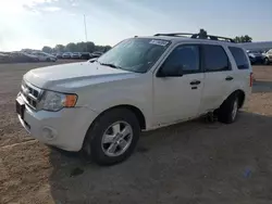 Vehiculos salvage en venta de Copart Davison, MI: 2011 Ford Escape XLT