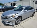 2017 Honda Accord EX