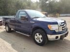 2009 Ford F150