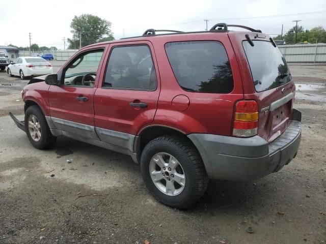 2005 Ford Escape XLT