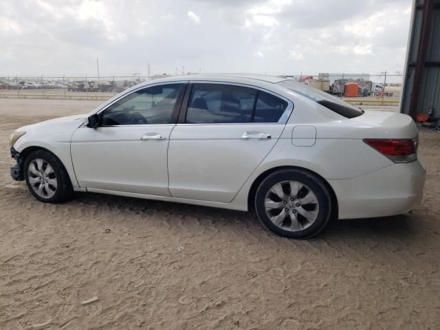 2008 Honda Accord EXL