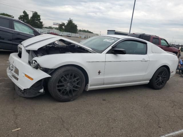 2014 Ford Mustang