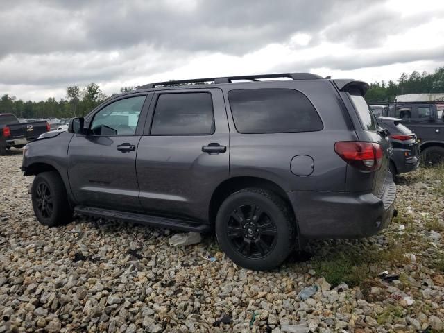 2019 Toyota Sequoia SR5