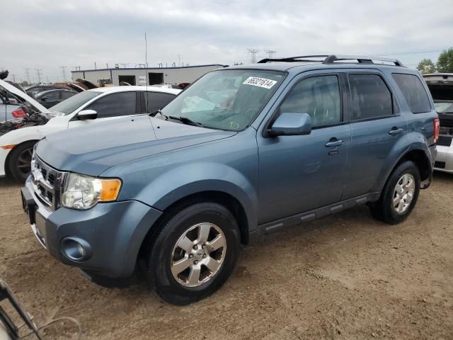 2010 Ford Escape Limited