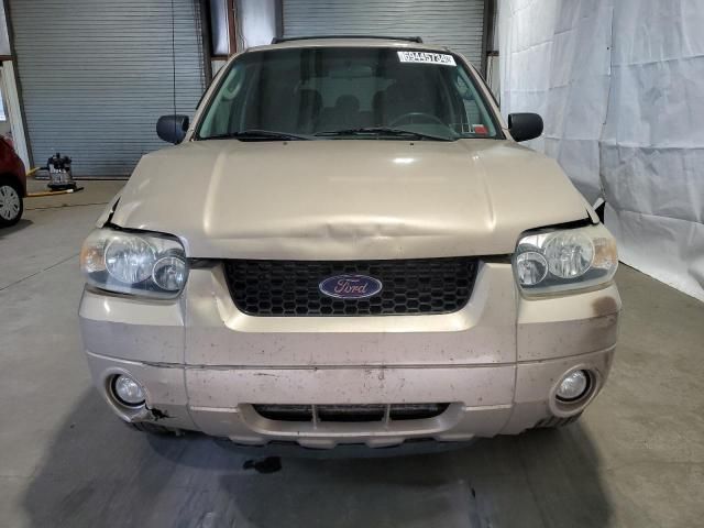 2007 Ford Escape XLT