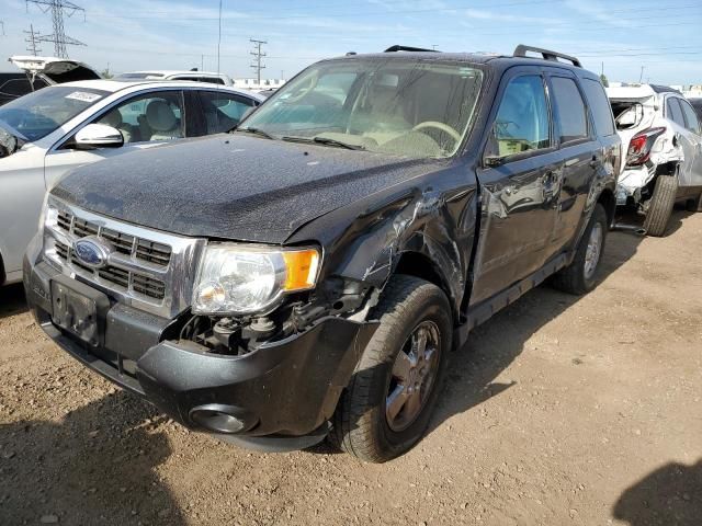 2009 Ford Escape XLT