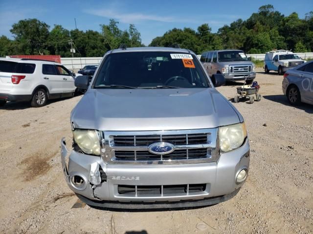 2010 Ford Escape XLT