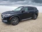 2024 Infiniti QX60 Sensory