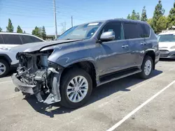 Salvage cars for sale at Rancho Cucamonga, CA auction: 2021 Lexus GX 460 Premium