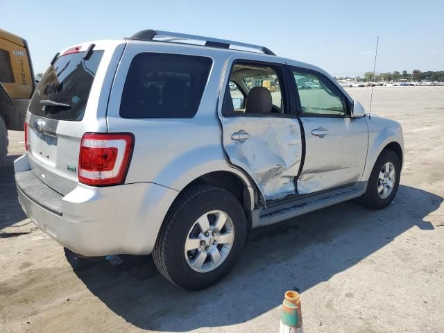 2010 Ford Escape Limited