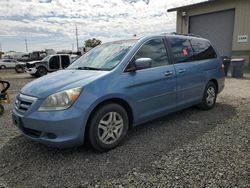 Honda salvage cars for sale: 2005 Honda Odyssey EXL