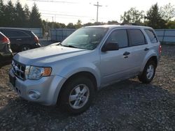 Ford salvage cars for sale: 2012 Ford Escape XLT