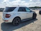 2009 Mercedes-Benz ML 350