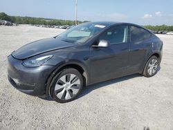 Salvage cars for sale at Gastonia, NC auction: 2024 Tesla Model Y