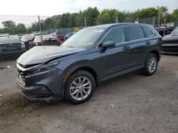 Salvage cars for sale at Chalfont, PA auction: 2023 Honda CR-V EX