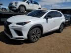 2019 Lexus NX 300 Base