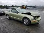 2006 Ford Mustang