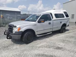 Salvage cars for sale at Elmsdale, NS auction: 2013 Ford F150