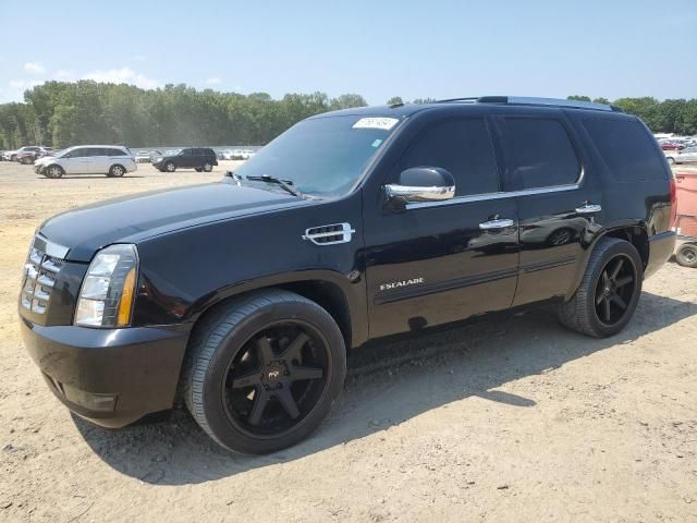 2007 Cadillac Escalade Luxury