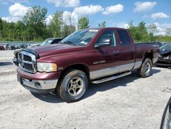 Salvage trucks for sale at Leroy, NY auction: 2003 Dodge RAM 1500 ST