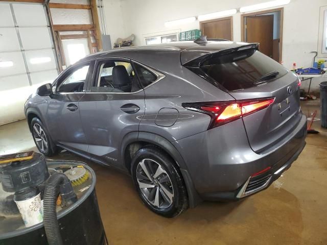 2021 Lexus NX 300H Base