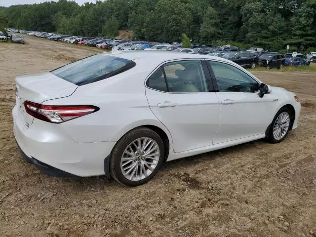 2019 Toyota Camry Hybrid