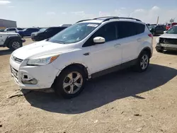 Salvage cars for sale at Amarillo, TX auction: 2013 Ford Escape SE