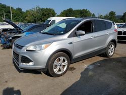 Salvage cars for sale at Marlboro, NY auction: 2016 Ford Escape SE