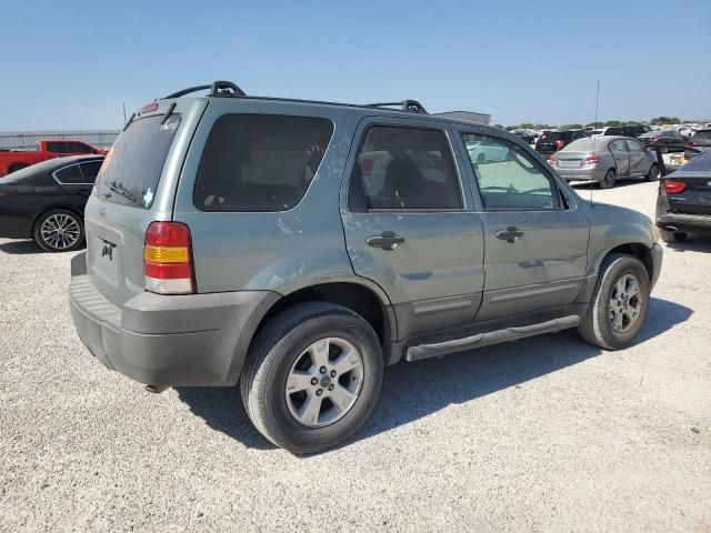 2007 Ford Escape XLT