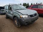 2007 Ford Escape XLS