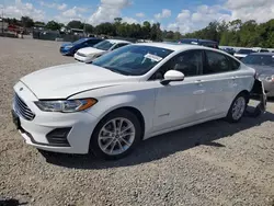 2019 Ford Fusion SE en venta en Riverview, FL