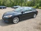 2015 Honda Accord Touring