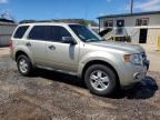 2011 Ford Escape XLS