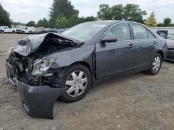 Salvage cars for sale at Finksburg, MD auction: 2010 Toyota Camry Base