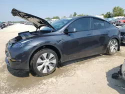 Salvage cars for sale at Bridgeton, MO auction: 2024 Tesla Model Y