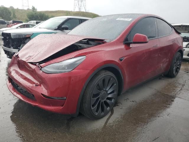 2024 Tesla Model Y