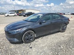 2023 Hyundai Elantra SEL en venta en Temple, TX