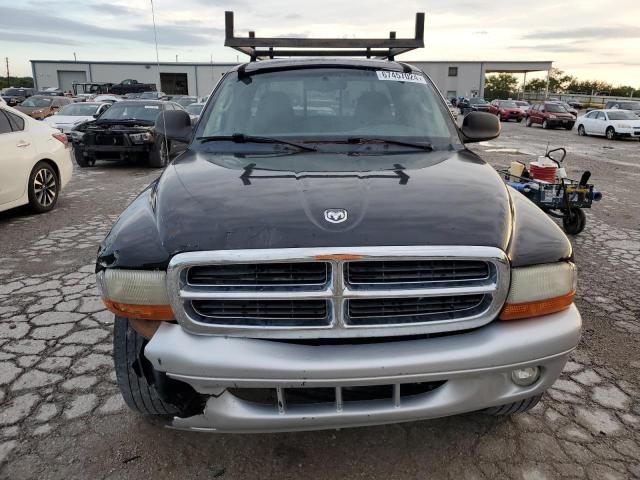 2004 Dodge Dakota SLT