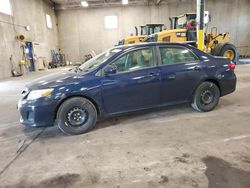 Salvage cars for sale from Copart Blaine, MN: 2011 Toyota Corolla Base