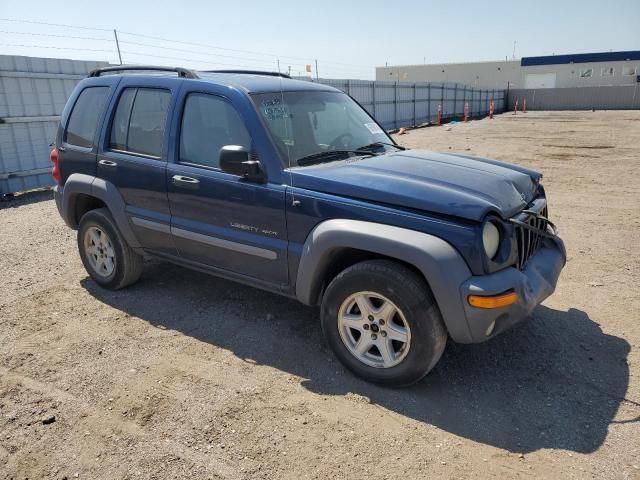 2002 Jeep Liberty Sport