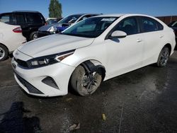 Salvage cars for sale at North Las Vegas, NV auction: 2024 KIA Forte LX